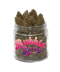 Bubble Berry Strain 4