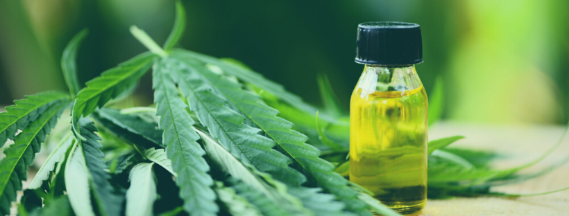 Side Effects Of CBD Tinctures