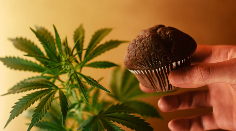 THC & Edibles What is a Safe Standard Dose