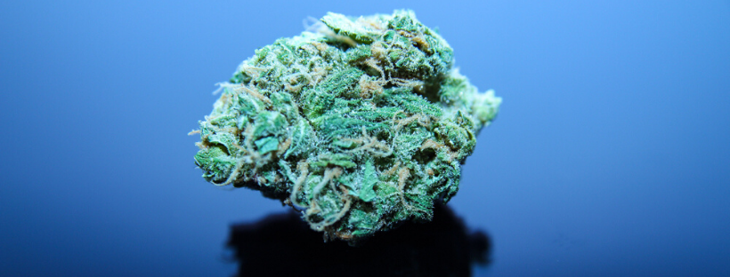 7 Sativa Strains to Give You a Boost of Energy