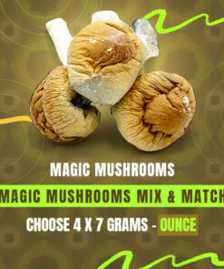 Magic Mushrooms (28G) - Mix & Match - Pick Any 4