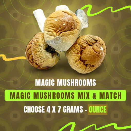 Magic Mushrooms (28G) - Mix & Match - Pick Any 4