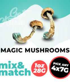 Magic Mushrooms Mix & Match