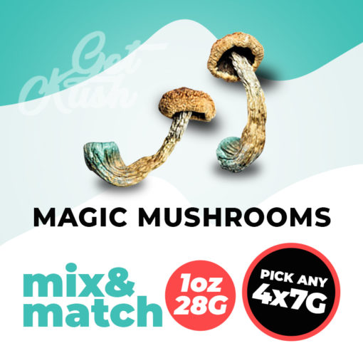 Magic Mushrooms Mix & Match