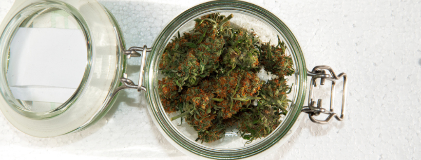 You Will Love the Indica Strains