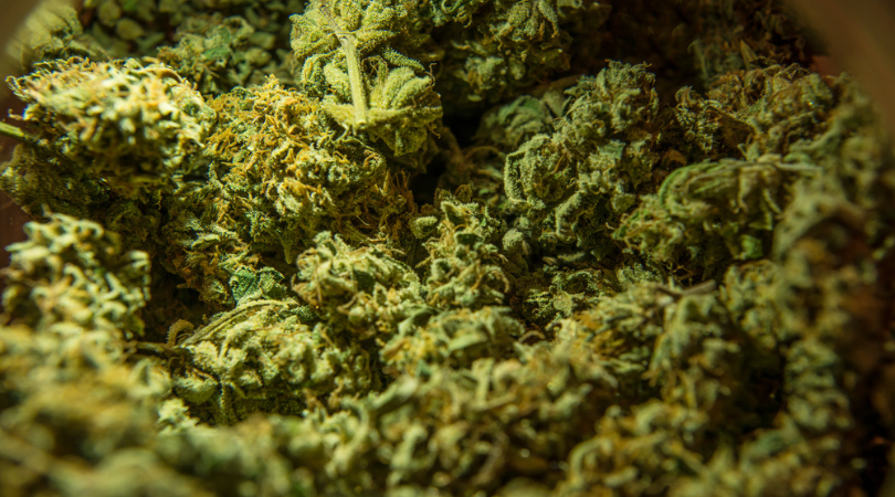 10 Cannabis Strains That Taste Better As Hash