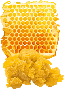 Honeycomb Wax weed