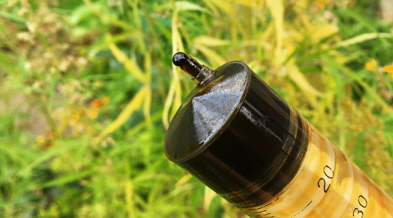What’s the Difference Between RSO and CBD Oil
