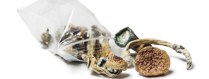 Storing Your Mushrooms for Microdosing