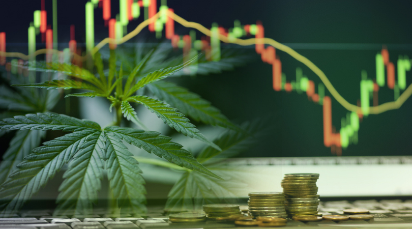 Top Cannabis Stocks to Buy for 2021