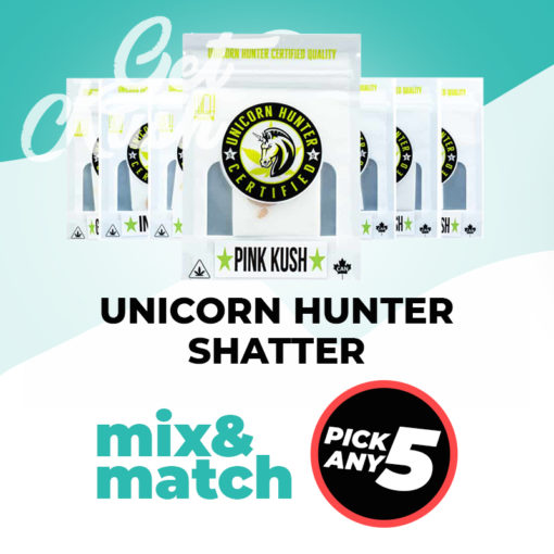 Unicorn Hunter Shatter