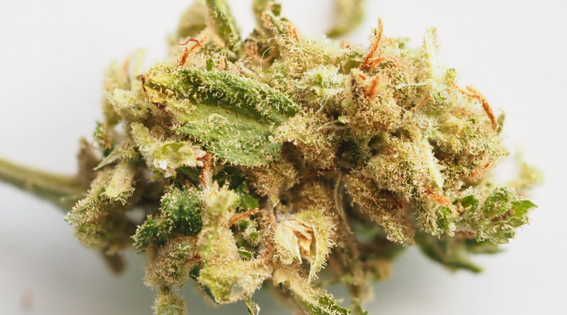 Top 7 Most Exclusive Cannabis Strains
