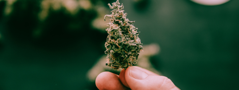 Get the Most Out of Marijuana for Joint Pain