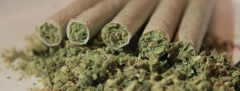 How to Calculate the Amount of THC in Your Joint