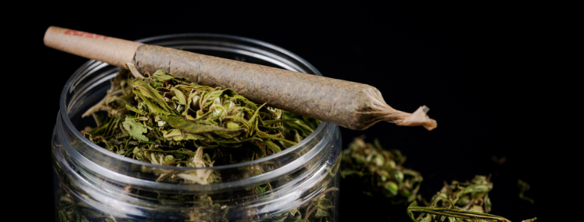 Best Ways to Store a Rolled Cannabis Joint