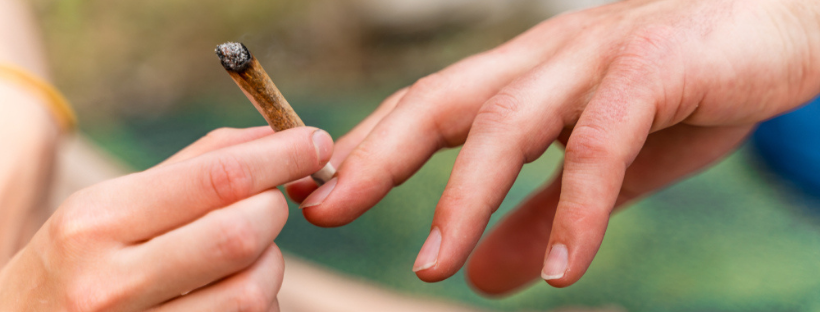 How to Hide a Marijuana High