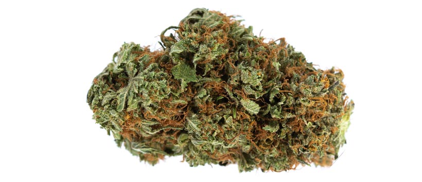 Top 5 Indica Weed Strains