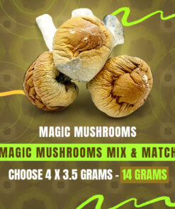 Magic Mushrooms (14G) - Mix & Match - Pick Any 4