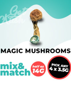 Magic Mushrooms M&M 14g