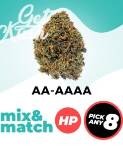 AA-AAAA (HP) - Mix & Match – Pick Any 8
