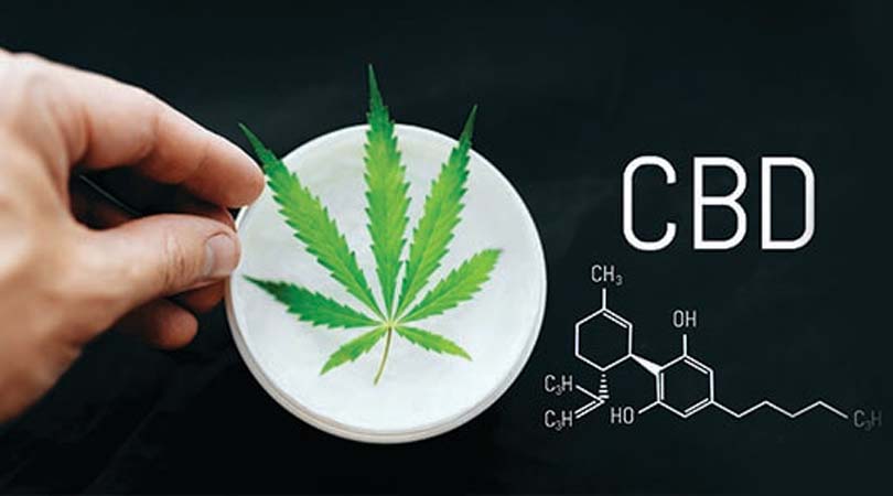 What Is CBD? Getting to Know Cannabidiol