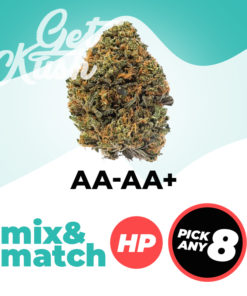 AA-AA+ (HP) - Mix & Match – Pick Any 8