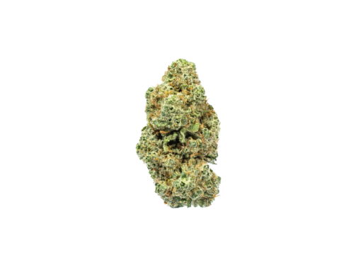 Scout Master Strain