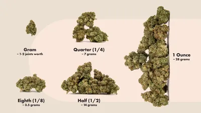 How Much Does an Eighth of Weed Cost? 