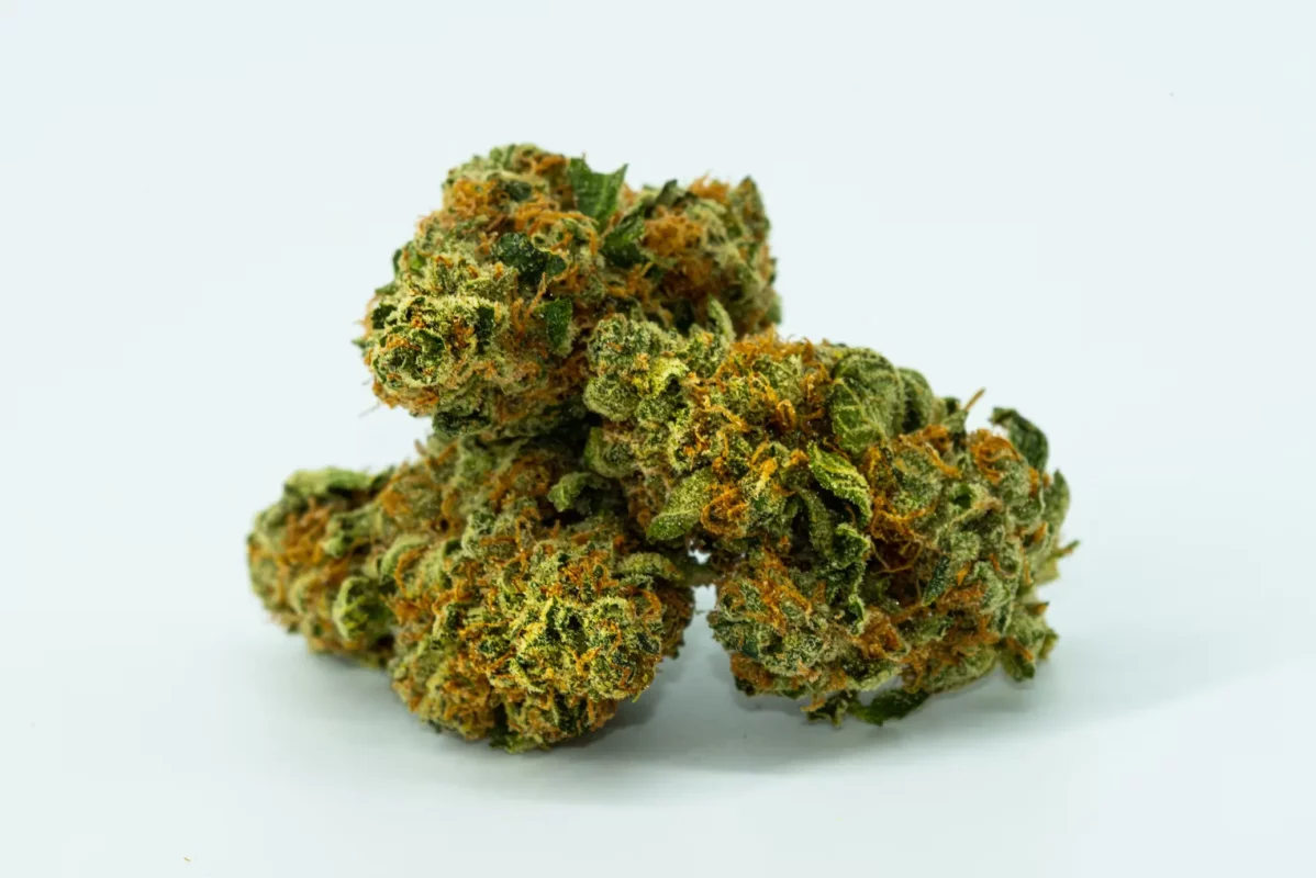 Discover the Best Hybrid Strains