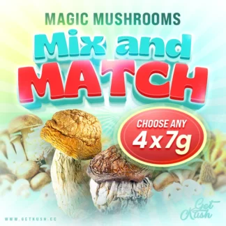 Magic Mushrooms โ Mix & Match โ Choose Any 4 x 7 Grams