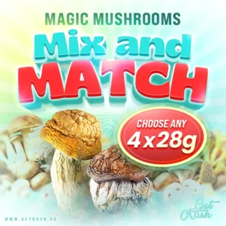 Magic Mushrooms โ Mix & Match โ Choose Any 4 x 28 Grams