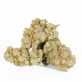 Beaver Tail (AA+)