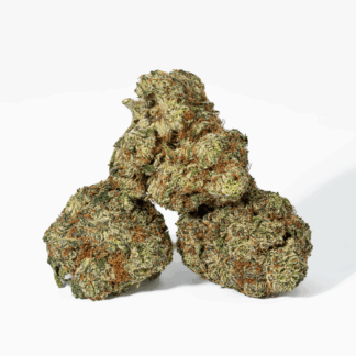Cherry Dosi