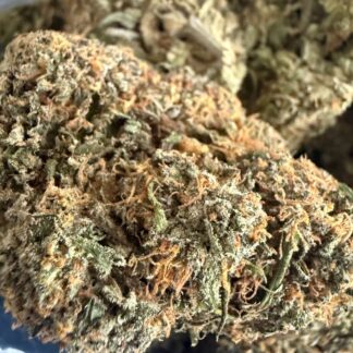 Sherb Cream Pie (AAAA+)