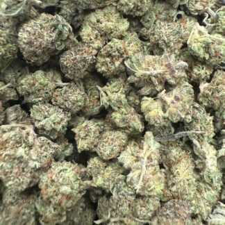 Pink Rockstar Smalls (AAAA)