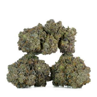 Fatso by Pluto Craft Cannabis (AAAA)