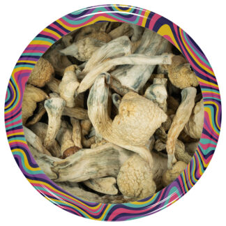 Albino A+