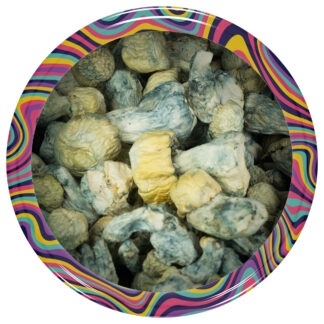 Blue Ghost