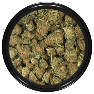 2 OZ / 3 OZ Acapulco Gold (Smalls) (AA/AA+)