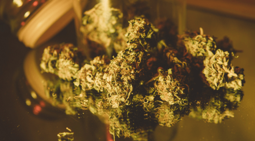 8 Top Shelf Strains Marijuana