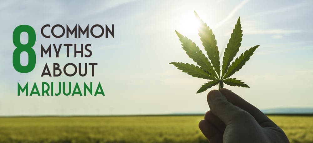 Common Myths About Marijuana