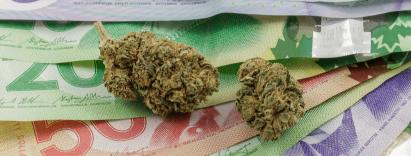 Finding the Best Canada Marijuana Deals