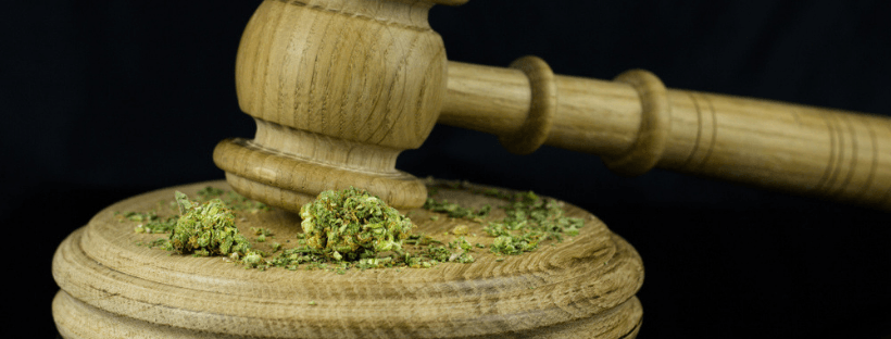 Laws for Buying Weed in Canada