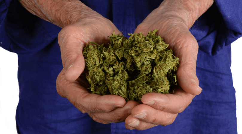 Marijuana Guide for Seniors