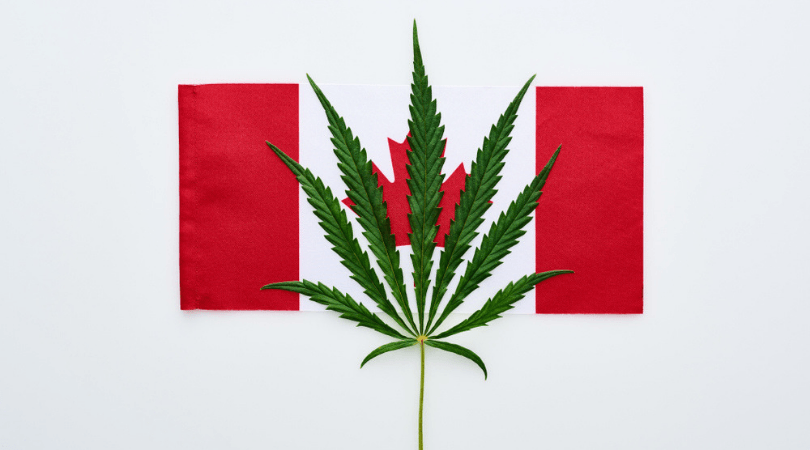 Where to Buy Weed Online in Canada Now It's Legal