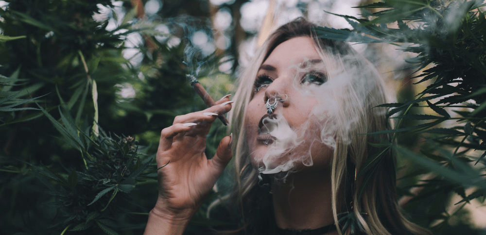 marijuana questions